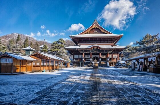 Nagano Snow Monkey Park Exclusive Private Tour – Departure from Tokyo