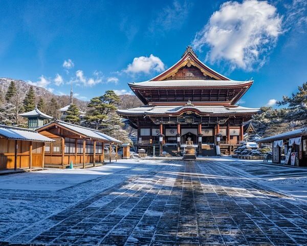 Nagano Snow Monkey Park Exclusive Private Tour – Departure from Tokyo